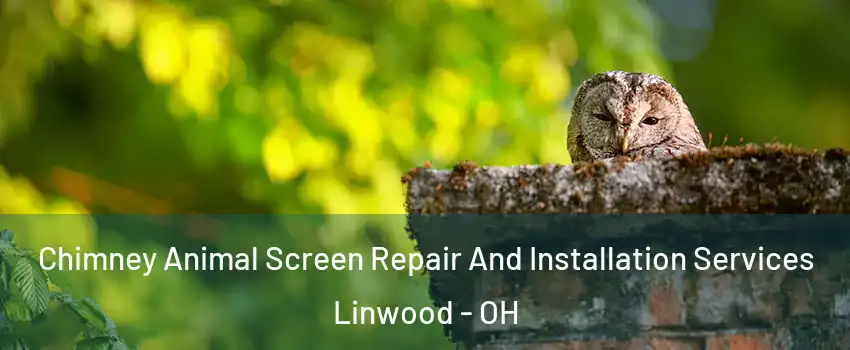 Chimney Animal Screen Repair And Installation Services Linwood - OH