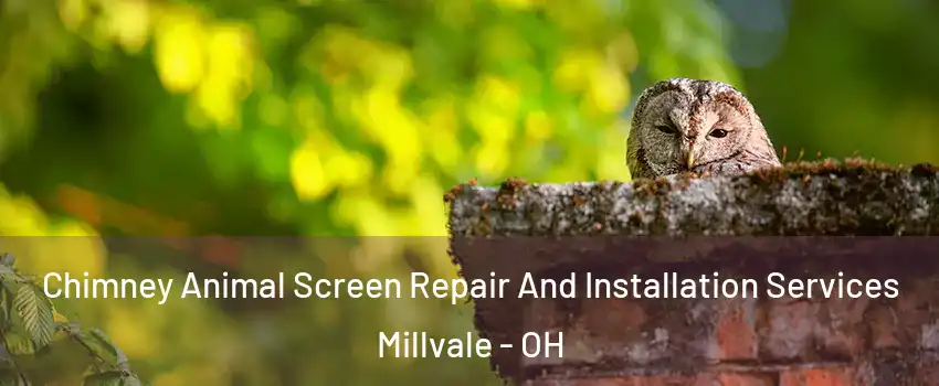 Chimney Animal Screen Repair And Installation Services Millvale - OH