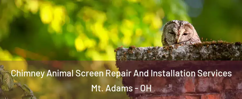 Chimney Animal Screen Repair And Installation Services Mt. Adams - OH