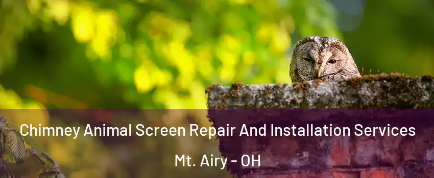 Chimney Animal Screen Repair And Installation Services Mt. Airy - OH