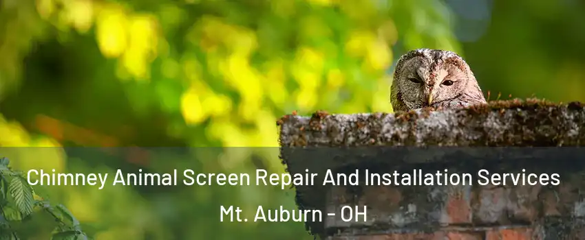 Chimney Animal Screen Repair And Installation Services Mt. Auburn - OH