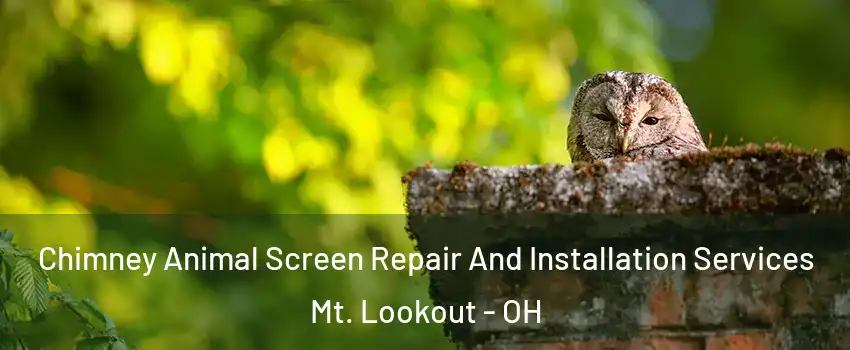 Chimney Animal Screen Repair And Installation Services Mt. Lookout - OH