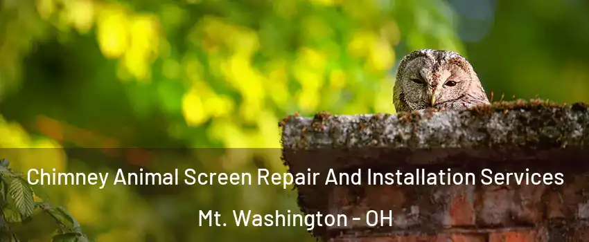 Chimney Animal Screen Repair And Installation Services Mt. Washington - OH