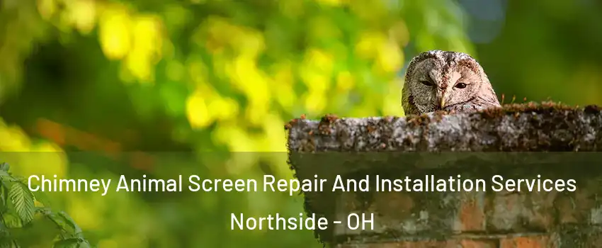 Chimney Animal Screen Repair And Installation Services Northside - OH