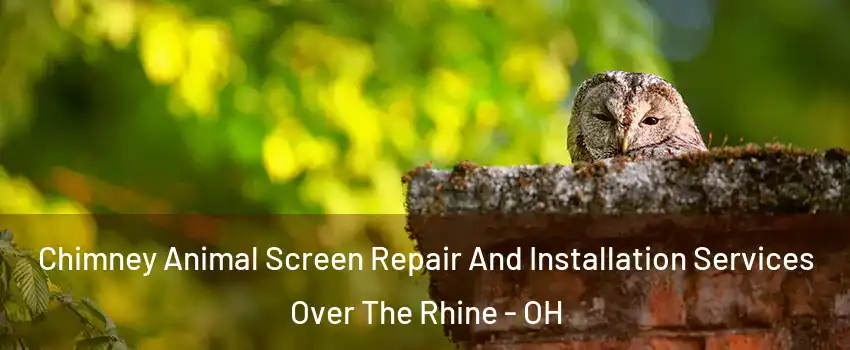 Chimney Animal Screen Repair And Installation Services Over The Rhine - OH