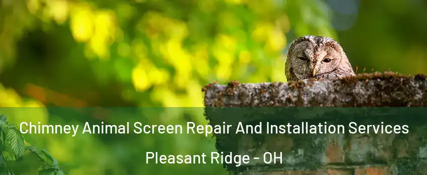 Chimney Animal Screen Repair And Installation Services Pleasant Ridge - OH