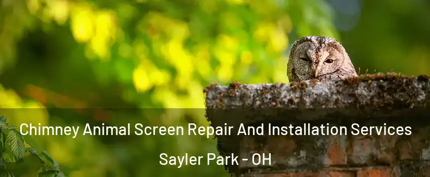 Chimney Animal Screen Repair And Installation Services Sayler Park - OH