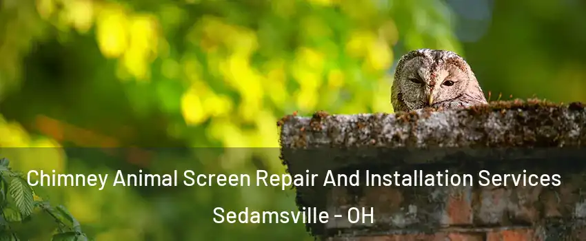 Chimney Animal Screen Repair And Installation Services Sedamsville - OH