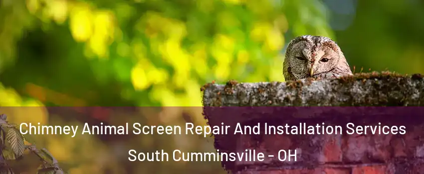 Chimney Animal Screen Repair And Installation Services South Cumminsville - OH