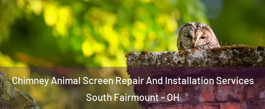 Chimney Animal Screen Repair And Installation Services South Fairmount - OH