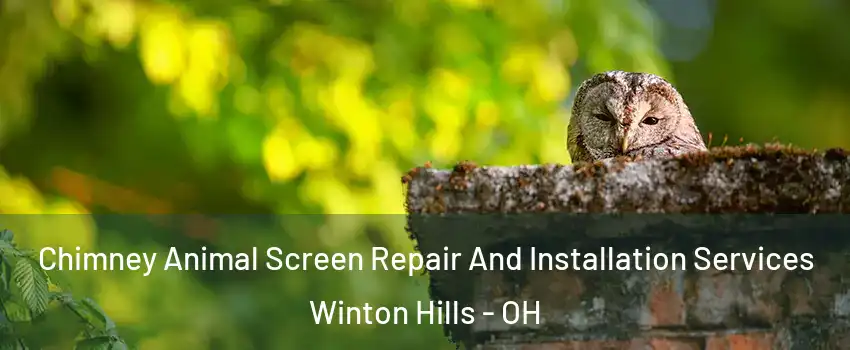 Chimney Animal Screen Repair And Installation Services Winton Hills - OH