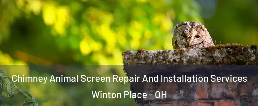 Chimney Animal Screen Repair And Installation Services Winton Place - OH