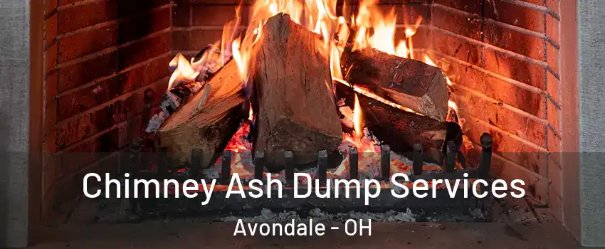 Chimney Ash Dump Services Avondale - OH