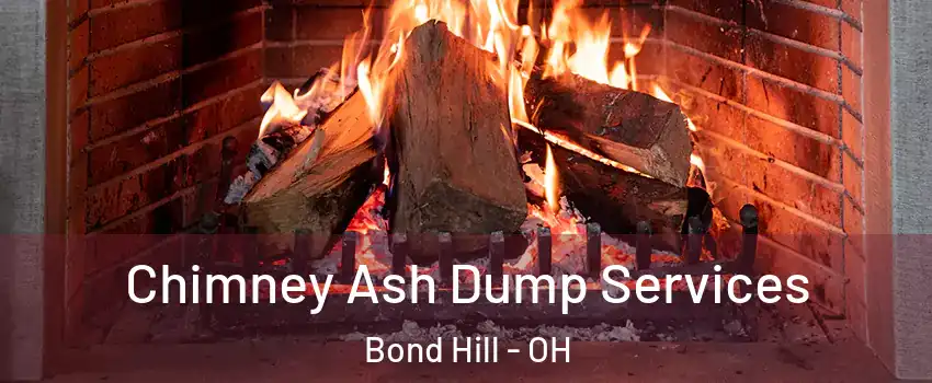 Chimney Ash Dump Services Bond Hill - OH