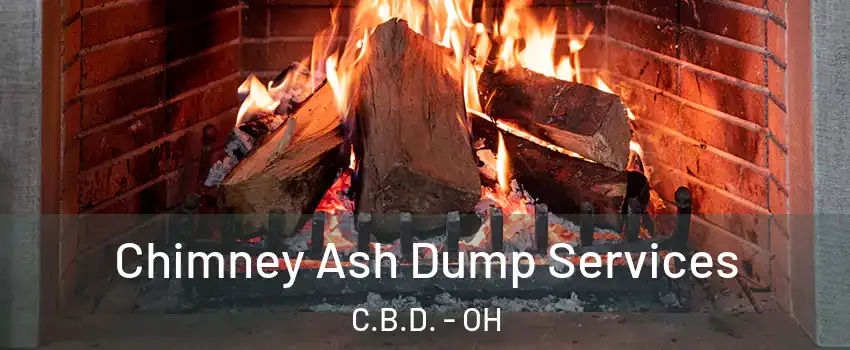 Chimney Ash Dump Services C.B.D. - OH