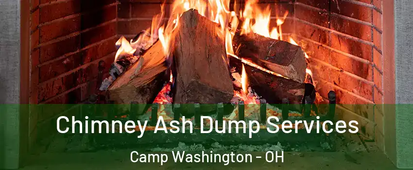 Chimney Ash Dump Services Camp Washington - OH