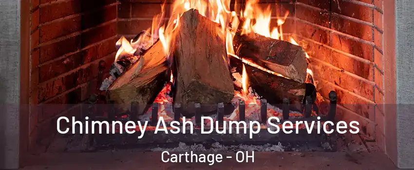 Chimney Ash Dump Services Carthage - OH