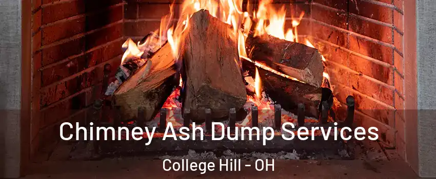 Chimney Ash Dump Services College Hill - OH