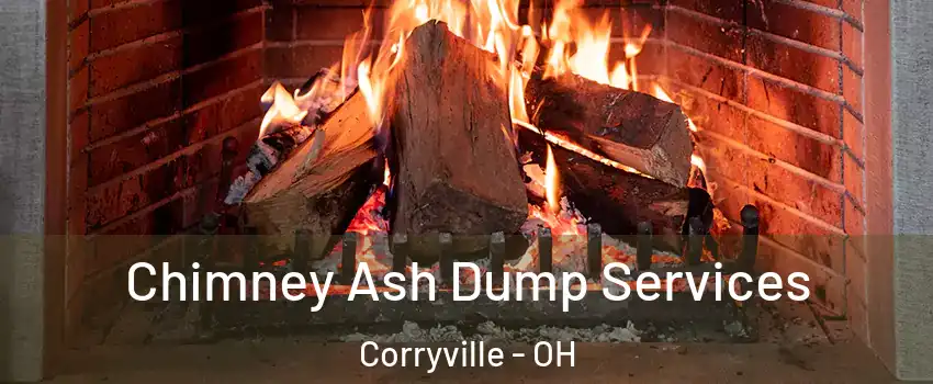 Chimney Ash Dump Services Corryville - OH