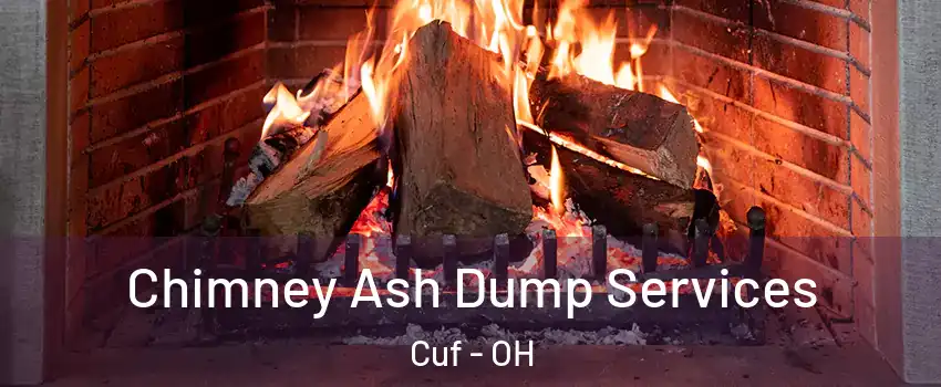 Chimney Ash Dump Services Cuf - OH