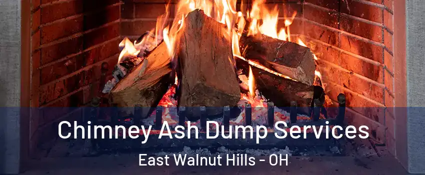 Chimney Ash Dump Services East Walnut Hills - OH