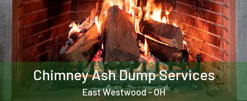 Chimney Ash Dump Services East Westwood - OH