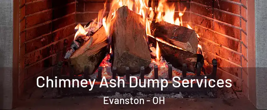 Chimney Ash Dump Services Evanston - OH