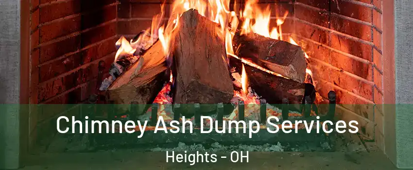 Chimney Ash Dump Services Heights - OH