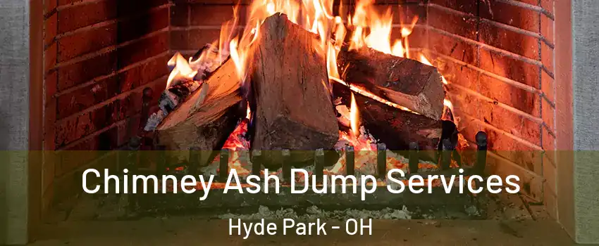 Chimney Ash Dump Services Hyde Park - OH