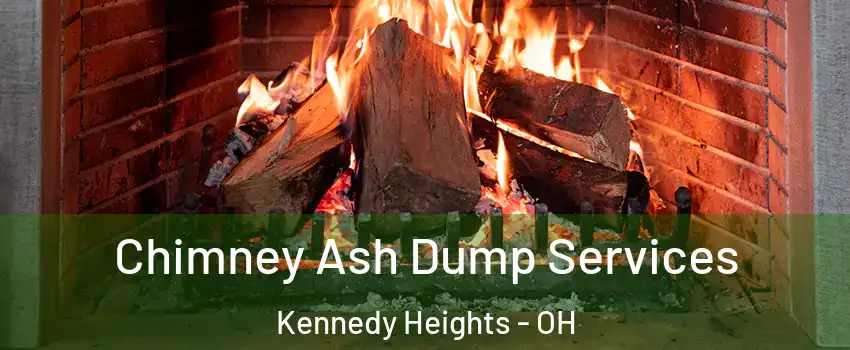 Chimney Ash Dump Services Kennedy Heights - OH