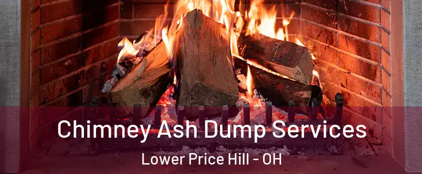 Chimney Ash Dump Services Lower Price Hill - OH