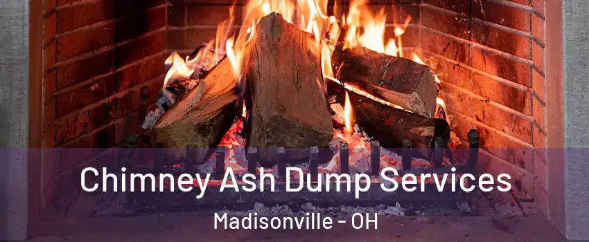 Chimney Ash Dump Services Madisonville - OH