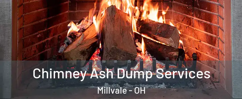 Chimney Ash Dump Services Millvale - OH