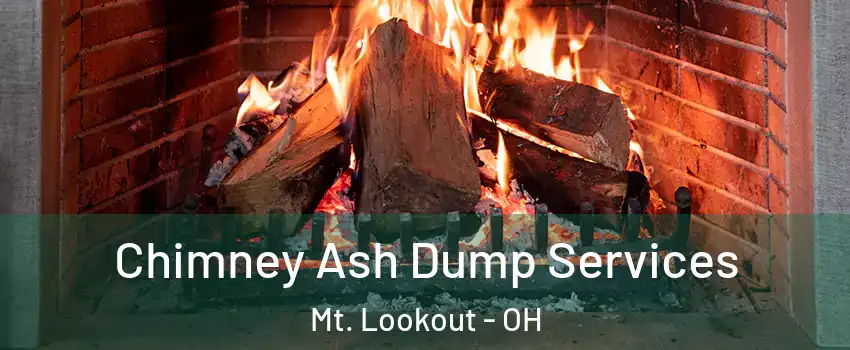 Chimney Ash Dump Services Mt. Lookout - OH