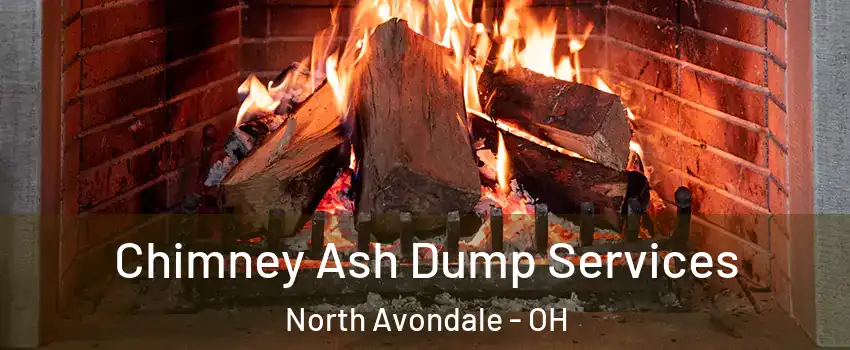 Chimney Ash Dump Services North Avondale - OH