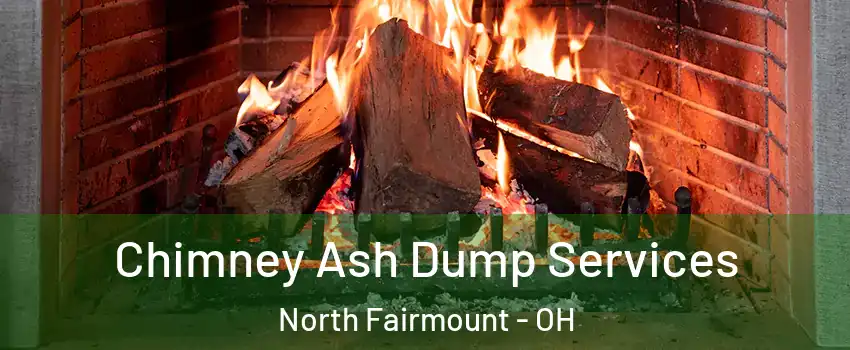 Chimney Ash Dump Services North Fairmount - OH