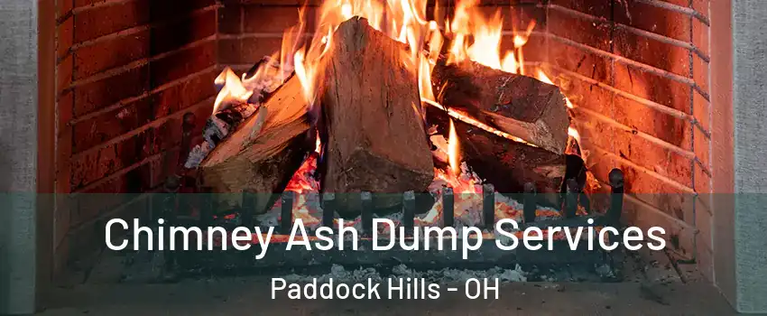 Chimney Ash Dump Services Paddock Hills - OH