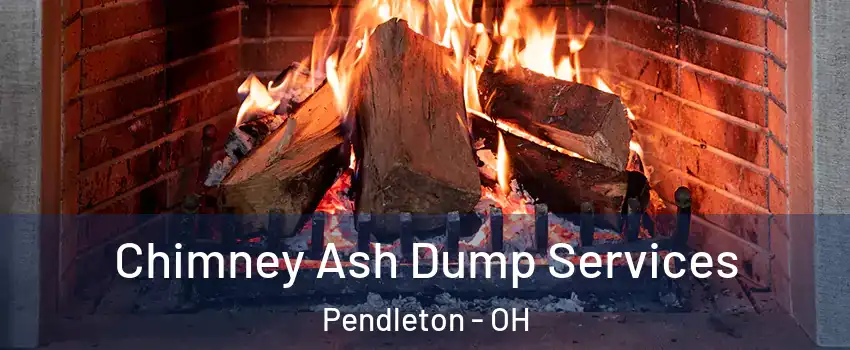 Chimney Ash Dump Services Pendleton - OH