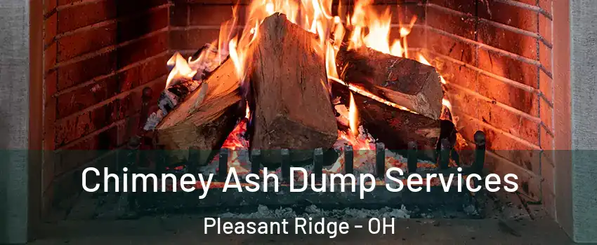 Chimney Ash Dump Services Pleasant Ridge - OH