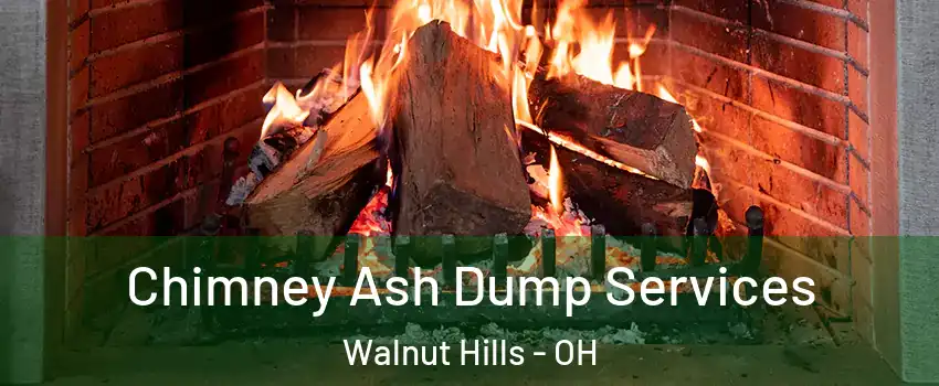 Chimney Ash Dump Services Walnut Hills - OH