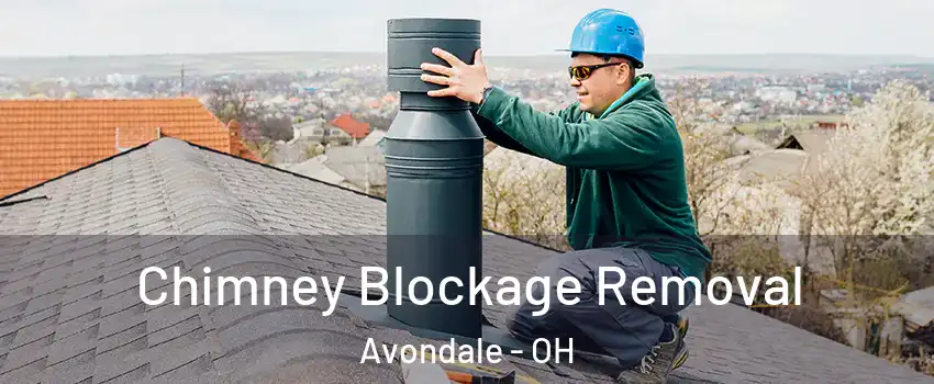 Chimney Blockage Removal Avondale - OH