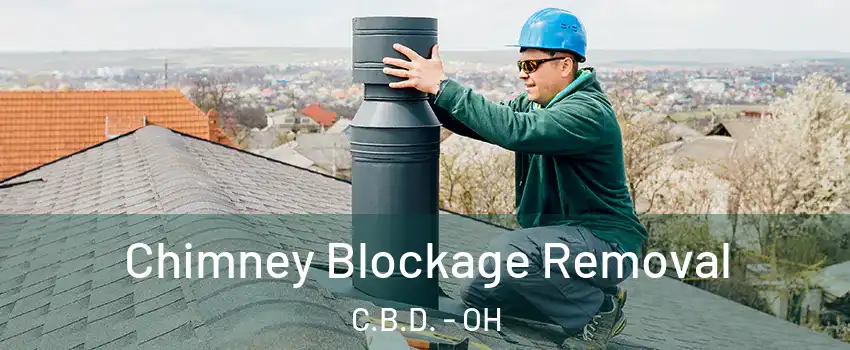 Chimney Blockage Removal C.B.D. - OH