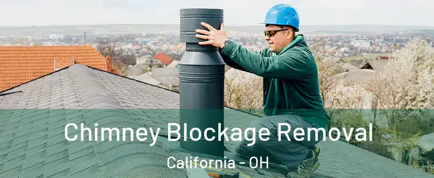 Chimney Blockage Removal California - OH