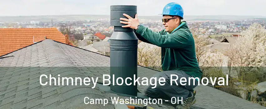 Chimney Blockage Removal Camp Washington - OH