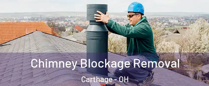 Chimney Blockage Removal Carthage - OH