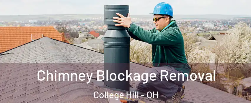 Chimney Blockage Removal College Hill - OH