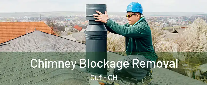 Chimney Blockage Removal Cuf - OH