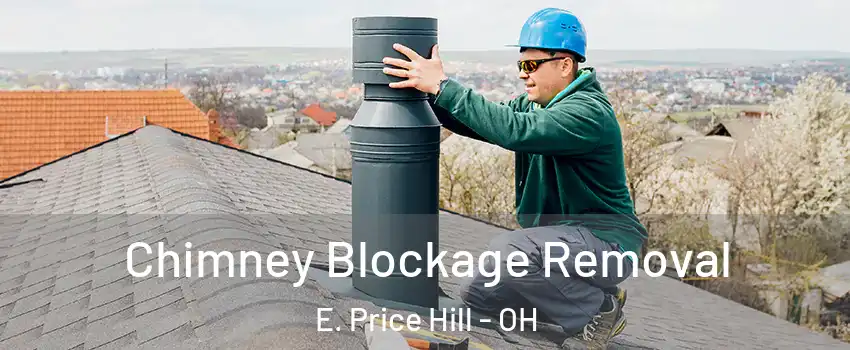 Chimney Blockage Removal E. Price Hill - OH