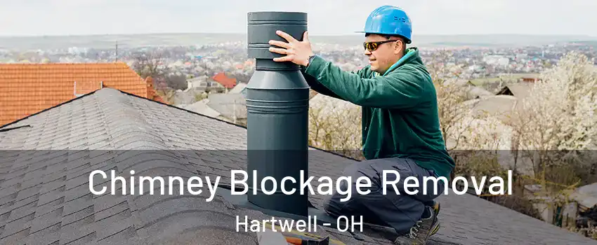 Chimney Blockage Removal Hartwell - OH