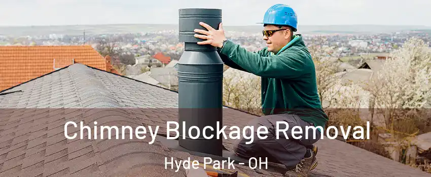 Chimney Blockage Removal Hyde Park - OH